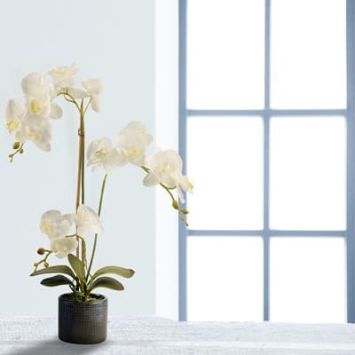 White Soft Touch Artificial Orchid Decor